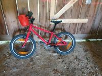 Bungi Bungi Lite 16 Singlespeed 3.5-6 Jahre | 105-120cm | 5.7 kg Bayern - Mindelheim Vorschau