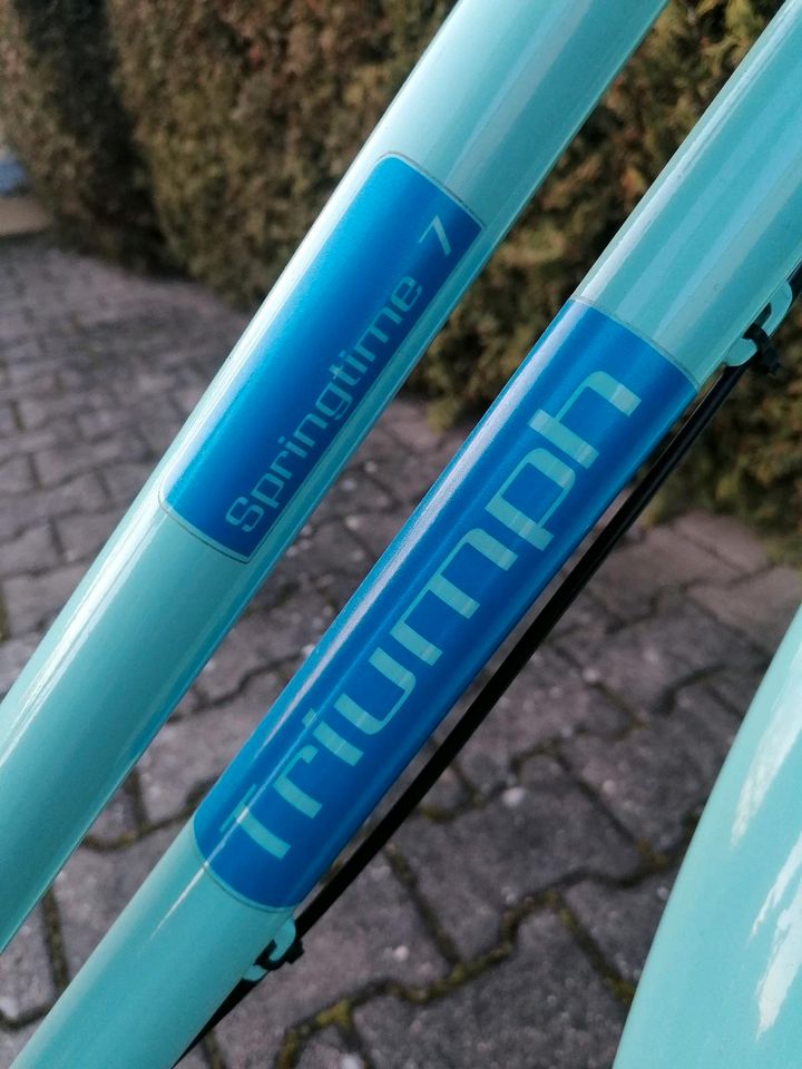 Fahrrad Triumph Mädchen in Merseburg