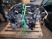 Mercedes Motor 651 w246  B klasse CLA Nordrhein-Westfalen - Dorsten Vorschau