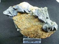 Mineralien  Galenit (Bleiglanz)  Österreich Baden-Württemberg - Engstingen Vorschau