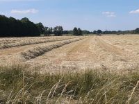 Gras Heu 1. Schnitt direkt ab Schwad Niedersachsen - Lüchow Vorschau