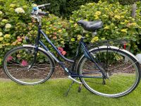 Fahrrad 28“ Batavus Cheyenne Nordrhein-Westfalen - Krefeld Vorschau