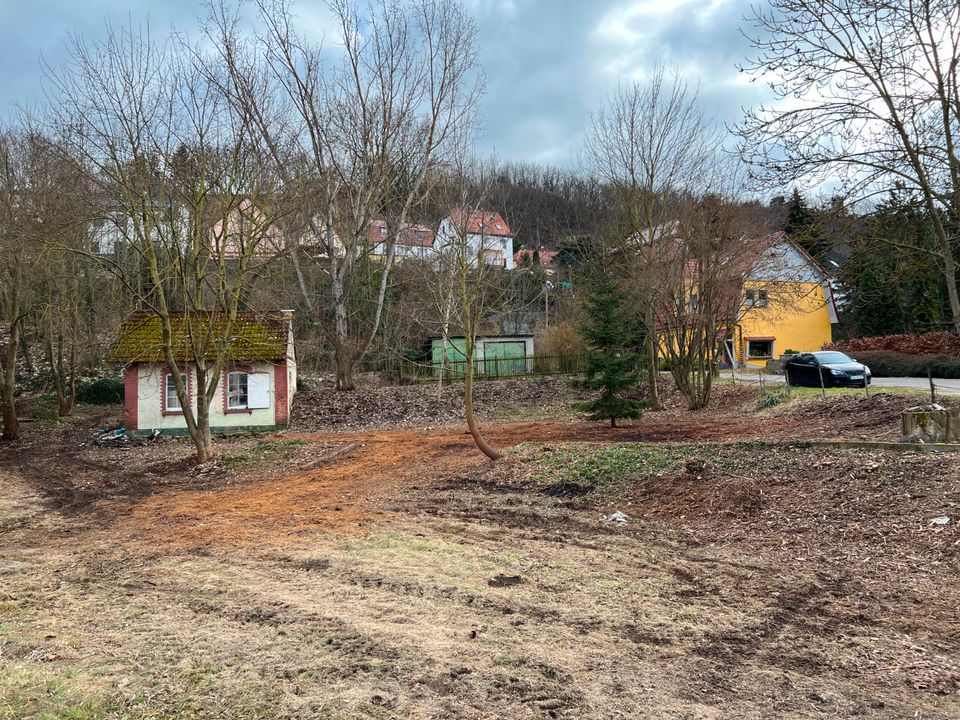 Baumfällung, Baumpflege, Gartenarbeiten, Bagger u. Abrissarbeiten in Naumburg (Saale)