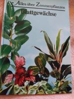 Zimmerpflanzen Buch, Blattgewächse West - Höchst Vorschau