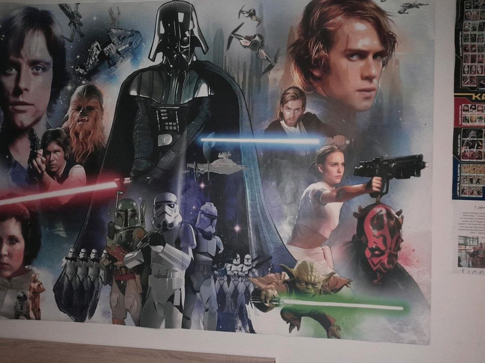 Star Wars Poster 208×146 in Polch