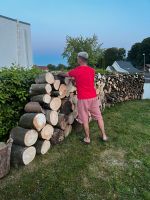Brennholz zu verkaufen Schleswig-Holstein - Flensburg Vorschau