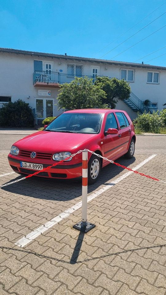 Volkswagen Golf IV 1.4 in Landau in der Pfalz