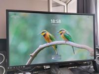 Computermonitor Iiyama 31,5 Zoll Baden-Württemberg - Sindelfingen Vorschau