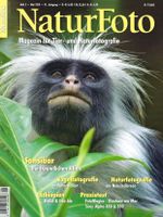 NATURFOTO - Magazin für Tier- und Naturfotografie - HEFT 05 /2010 Hessen - Birkenau Vorschau