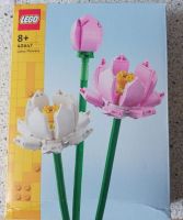 LEGO Lotus Flowers 40647, ab 8 Jahren Berlin - Tempelhof Vorschau