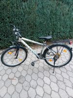 Verkaufe ein Herren Moutainbike Marke Raleigh Bayern - Bruck Vorschau