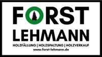 Walddurchforstungen / Baumfällung / Holztransporte Brandenburg - Lübben Vorschau