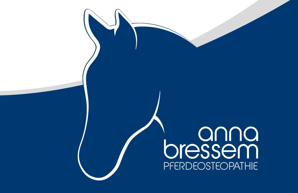 Pferdeosteopathie Rehatraining Akademische Reitkunst in Martfeld