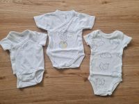 3 Kurzarmbodys Carters, H&M, Babyclub Größe 50 neuwertig Baden-Württemberg - Beilstein Vorschau