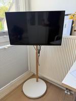 Panasonic TX-LSW504 32 Zoll & Mobiler TV Ständer Nordrhein-Westfalen - Hagen Vorschau
