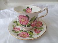 Sammeltasse Teller Paragon Fine Bone China Camelia Serie Baden-Württemberg - Murrhardt Vorschau