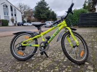 Carver PHT 20″ Mountainbike Fahrrad Rheinland-Pfalz - Mainz Vorschau