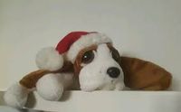 Li'l Peepers - Original Suki Stofftier Chrismas Hund Bailey Dresden - Prohlis-Nord Vorschau