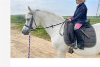 Reitbeteiligung an Welsh Pony zu vergeben Pflegepferd Nordrhein-Westfalen - Rommerskirchen Vorschau