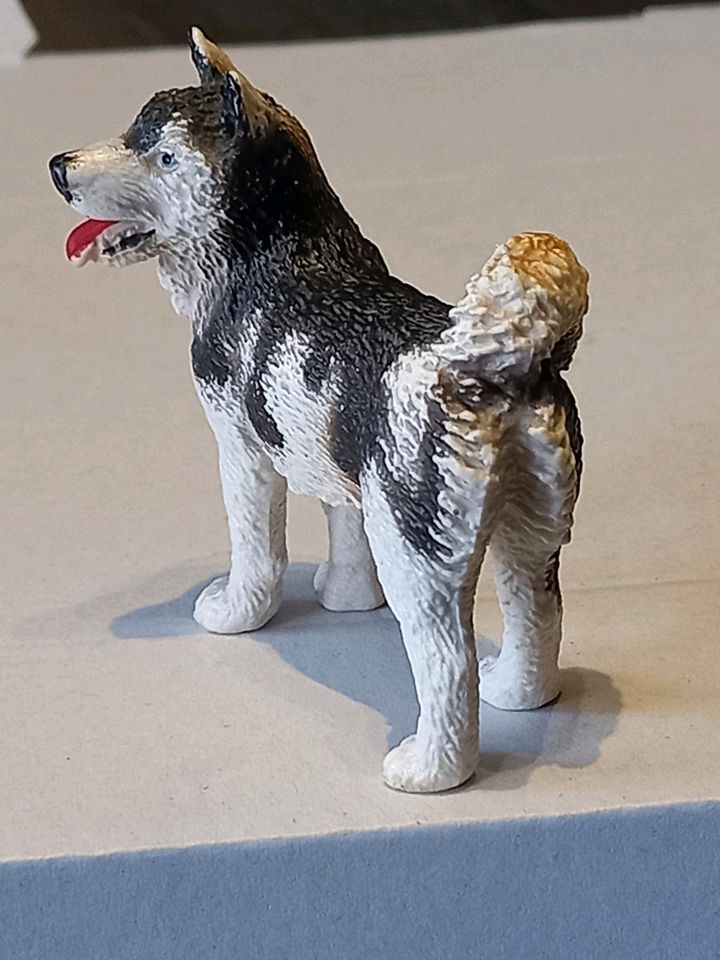 Schleich husky hund von 1995 im gutem Zustand in Glauchau