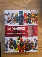 Ninjago Lexikon der Minifiguren Sachsen-Anhalt - Hermsdorf Vorschau