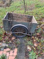 Alter Fahrradhänger Brandenburg - Luckaitztal Vorschau