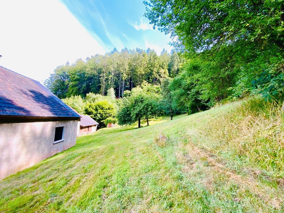 Renoviertes Wohnhaus in einmaliger absoluter Ortsrand-, Allein-, Waldrandlage mit Weitblick ins Kylltal auf einem ca. 3.000 m² großen Areal mit Nebengebäude in der Nähe von Kyllburg in Sankt Thomas