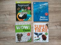 Tierbücher Regenwald, Wale, Delphin, super Tiere, wow Tiere Nordrhein-Westfalen - Lienen Vorschau