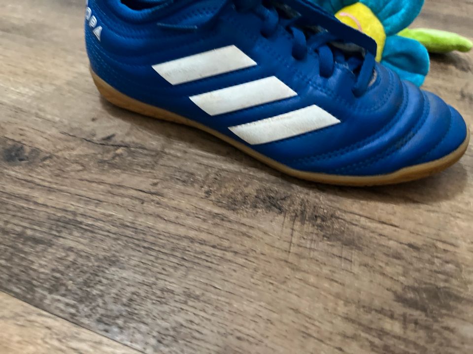 Hallen Fußballschuhe Gr.33 in Eichstätt