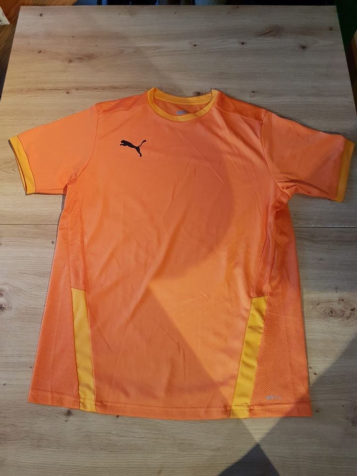 Sportshirt T-Shirt Puma drycell Gr. 176 in Rödermark