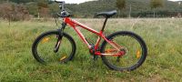 MTB 26 Zoll , Specialized, Hardrock Rheinland-Pfalz - Langenfeld Eifel Vorschau