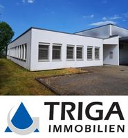 Büro- und Lager-/Produktionshalle in Nordhausen! Thüringen - Nordhausen Vorschau
