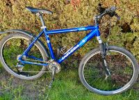 vintage Jugend- Mountainbike M Univega Alpina 530 Deore Rock Shox Baden-Württemberg - Tettnang Vorschau