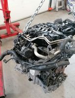 Motor Komplett AUDI A4 A5 A6 Q5 CJCB 2.0 TDI 49.000km 1 Jahr Brandenburg - Küstriner Vorland Vorschau