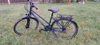 Damenfahrrad Victoria Trekking 2.7 Thüringen - Saalfeld (Saale) Vorschau