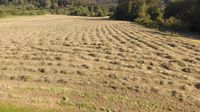 Heu in Kleinballen zu verkaufen Baden-Württemberg - Schorndorf Vorschau