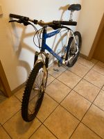 Mountain Bike Specialized Rockhopper Fahrrad Thüringen - Brahmenau Vorschau