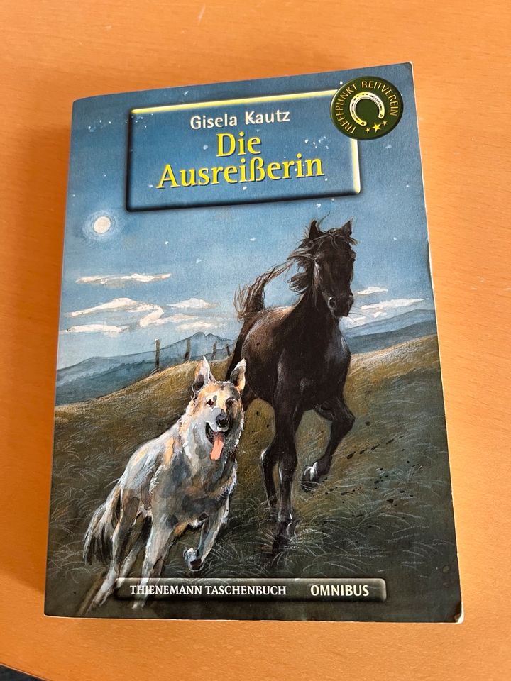 Buch Die Ausreißerin von Gisela Kautz in Neunkirchen-Seelscheid