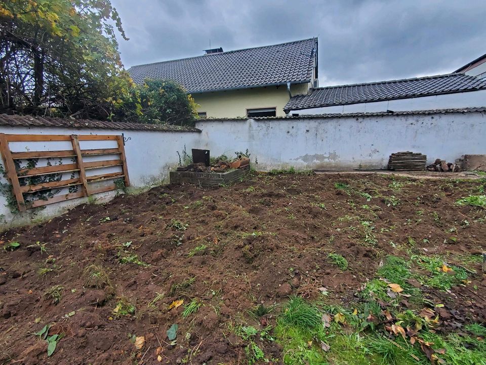 Rollrasen | Gartenpflege | Pflastersteine reinigen | Gärtner in Bad Kreuznach