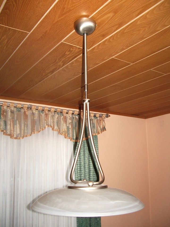 Deckenlampe/Hängelampe mit Milchglas in Steinberg am See
