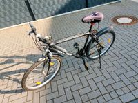 Fahrrad Rockrider 5.0 26zoll Nordrhein-Westfalen - Neukirchen-Vluyn Vorschau