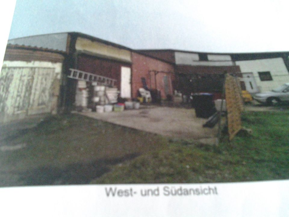 Verkaufe Haus mit Grundstück in Niedersachsen Gifhorn Haus kaufen