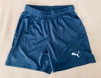 Puma Jungen Shorts Sport Gr. 146, 152 Bayern - Hof (Saale) Vorschau