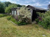 Toller Schrebergarten mit Potenzial kurzfristig abzugeben. Niedersachsen - Bramsche Vorschau