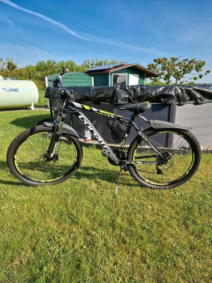 Corelli Mountainbike in Schwichtenberg