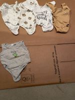 Bodys Baby Größe 74 Baden-Württemberg - Engen Vorschau