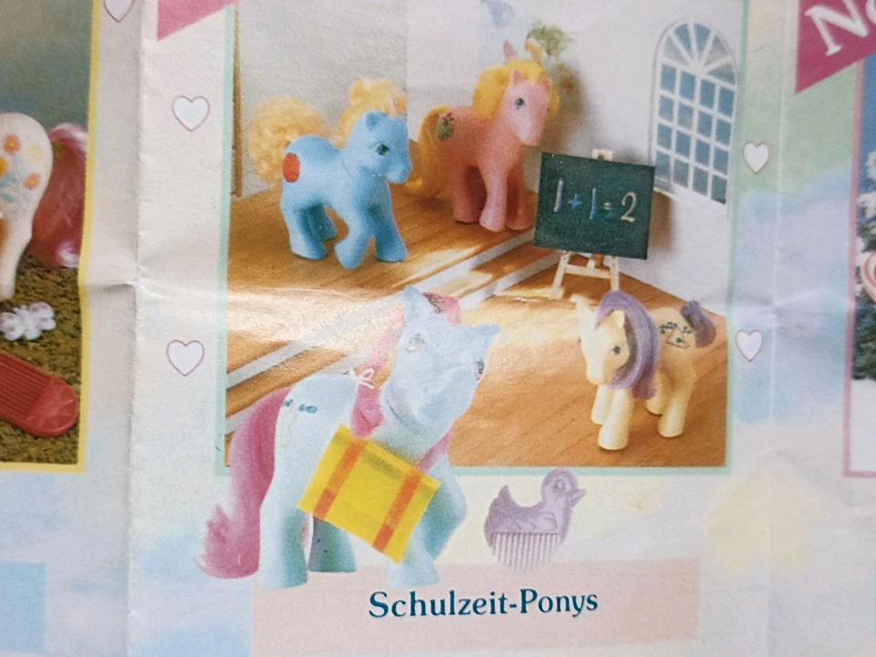 Mein kleines Pony Schulzeit Pony in Braunschweig
