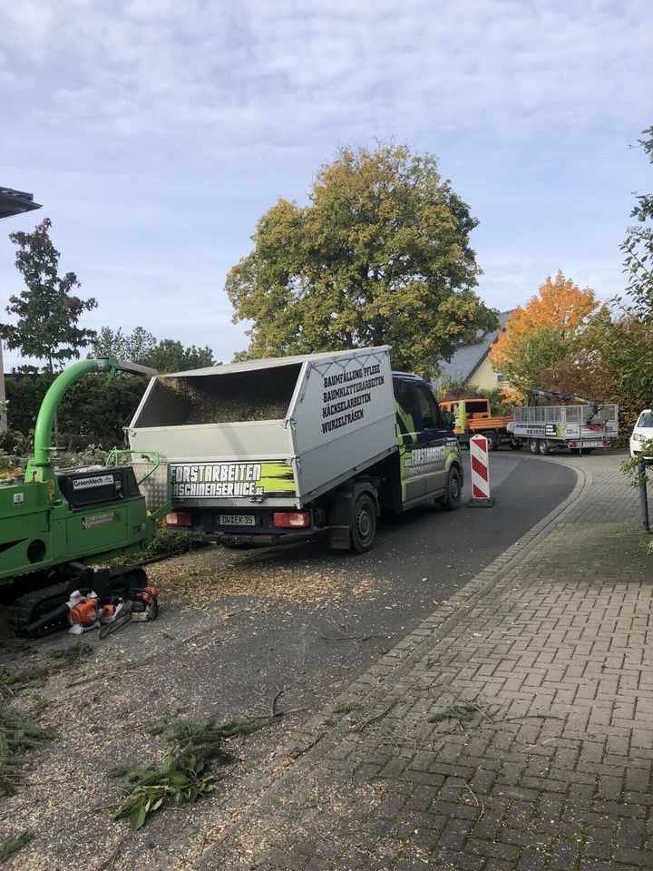 Baumfällung, Wurzelfräsen, Baumpflege, Häckselarbeiten in Pirna