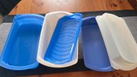 ❤️ Tupperware ❤️ 5 tlg. Lunchbox Four Seasons Nordrhein-Westfalen - Ratingen Vorschau