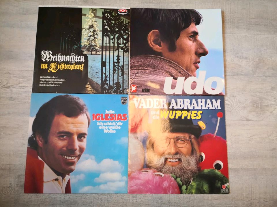Schallplatten LP LPs Vinyl in Garbsen